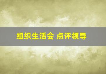 组织生活会 点评领导